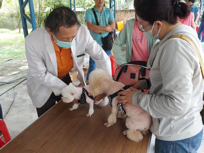 屏東縣響應世界狂犬病日，毛孩健檢，免費疫苗注射溫馨登場
